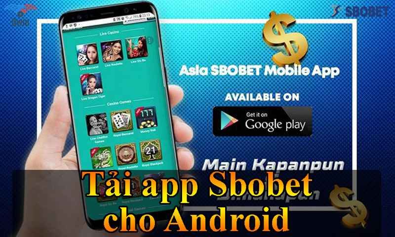Có thể dễ dàng cài đặt app Sbobet qua điện thoại nền tảng Android